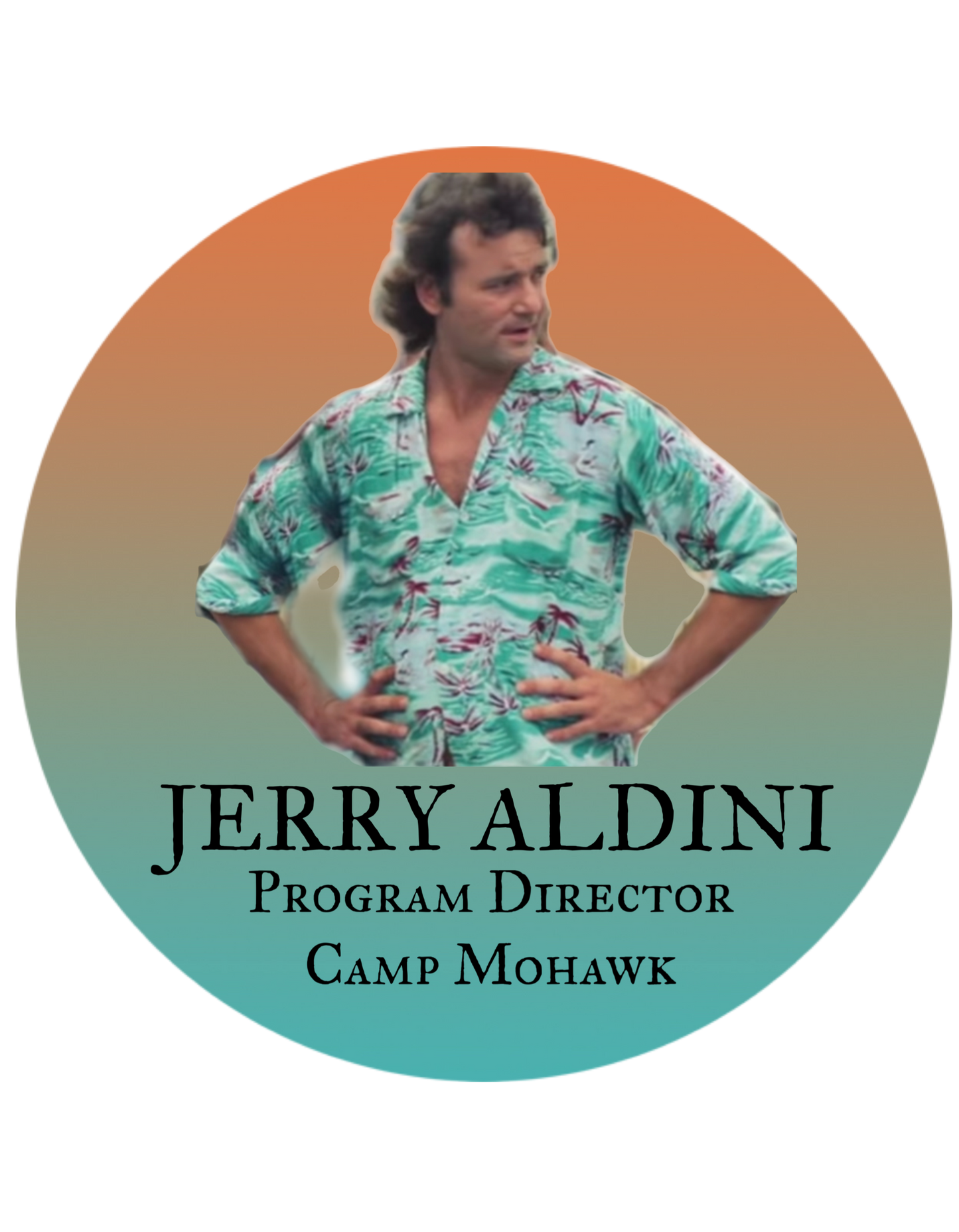 JERRY ALDINI